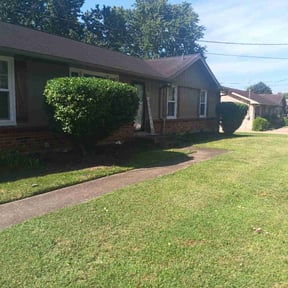 Bush Trimming by AV Lawn Care reviewed on August 16, 2025