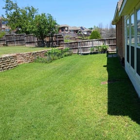 landscaping services by Veza Lawn care reviewed on December 25, 2025