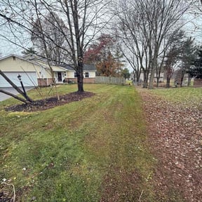 Leaf Removal by G&amp;L Home Improvement reviewed on November 19, 2025