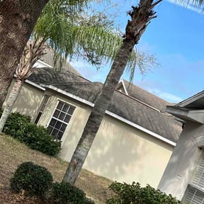 Bush Trimming by K&amp;b lawn care reviewed on March 1, 2026