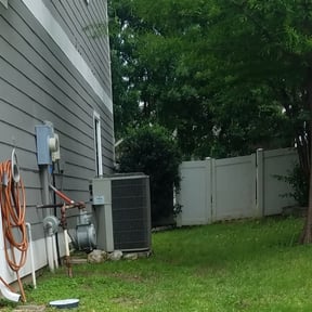 Bush Trimming by T &O Landscape Service LLC reviewed on August 19, 2025