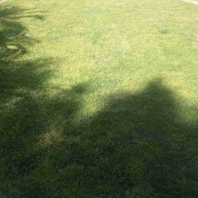 Leaf Removal by Booker Lawn Care reviewed on September 14, 2025