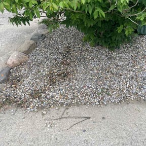 Flower Bed Weeding by Just a Trim Lawncare LLC reviewed on July 2, 2026