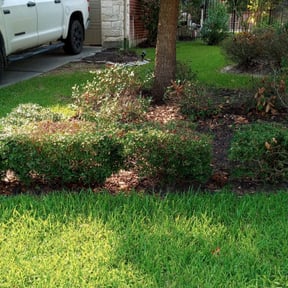 Bush Trimming by La Exelencia Landscaping reviewed on August 16, 2025