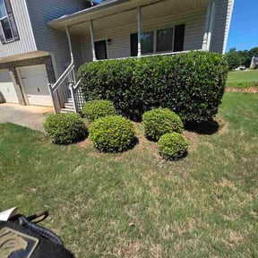 Bush Trimming by Sasquatch Landscaping and Design reviewed on June 3, 2026