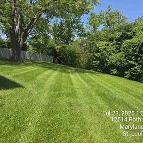 yard work by Pro grow landscapeing reviewed on August 18, 2025