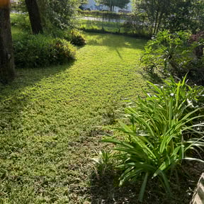 residential landscaping by EMP Lawn Services, LLC reviewed on December 14, 2025