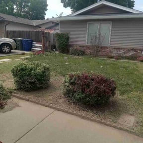 Bush Trimming by Warren B Landscaping and Construction LLC reviewed on August 18, 2025