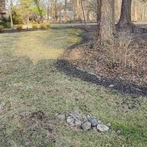 Flower Bed Weeding by ChinaCat Landscaping reviewed on August 15, 2025
