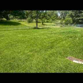 grass maintenance by Jero&#039;s Landscape reviewed on August 19, 2025