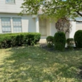 Bush Trimming by Go Green Electric Lawncare reviewed on September 27, 2023