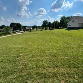 yard care by Gredig Lawn Care reviewed on November 24, 2025