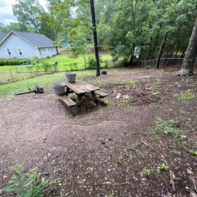 Leaf Removal by Charter's handyman services reviewed on August 18, 2025