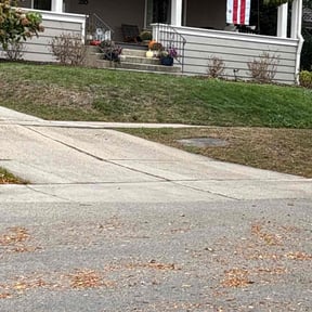 Leaf Removal by The Lawnfirm LLC reviewed on November 9, 2025