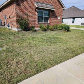 lawn care services by TruGreen LawnCare reviewed on April 25, 2025