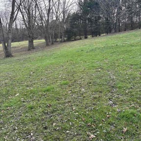 Leaf Removal by Southern Style Lawn Care reviewed on March 23, 2026