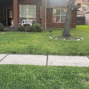 lawn maintenance by Texas Services SA reviewed on December 14, 2023