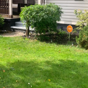 Bush Trimming by RK Lawncare reviewed on August 19, 2025