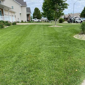 landscape maintenance by Lawn Busters LLC reviewed on August 21, 2025