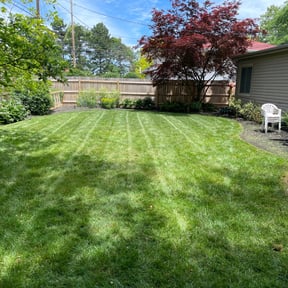Bush Trimming by NRB Landscape Services reviewed on June 13, 2022
