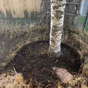 Leaf Removal by Edge Lawn and Landscape reviewed on August 23, 2026