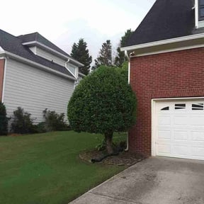 Bush Trimming by Cross County Lawn and Landscape reviewed on August 14, 2025