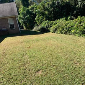 Bush Trimming by Under Cutters Lawn & Landscaping reviewed on August 16, 2025