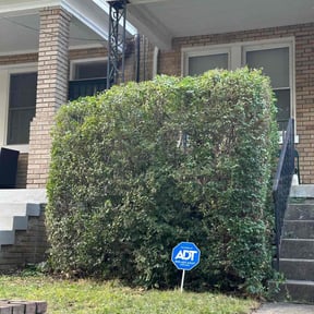 Bush Trimming by Freshly Mowed reviewed on August 18, 2025