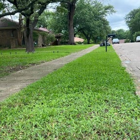 yard work by Ultimate Landscape Contractor reviewed on August 19, 2025