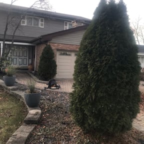 Bush Trimming by Norman Boys Lawn Care reviewed on August 21, 2025