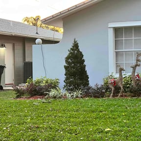 Bush Trimming by The Landscaping Doctor reviewed on August 16, 2025