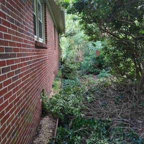 Bush Trimming by Finley's Lawn Cuts reviewed on August 15, 2025