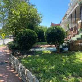 Bush Trimming by Madera Landscape reviewed on August 19, 2025