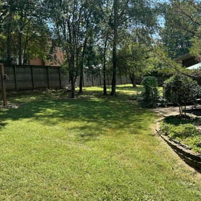 yard maintenance by TN Lawn Services LLC. reviewed on August 15, 2025