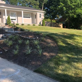 Flower Bed Weeding by Supreme Home Services reviewed on August 20, 2025