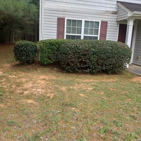 Bush Trimming by E Mow Lawn Care LLC reviewed on August 20, 2025