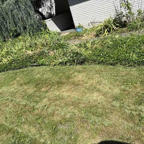 Flower Bed Weeding by GARDENBORO LANDSCAPING reviewed on June 1, 2026