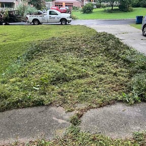 Flower Bed Weeding by GrassPro Solutions reviewed on August 17, 2026