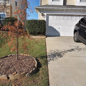Bush Trimming by Midwest Mow and Landscape Service reviewed on August 14, 2025