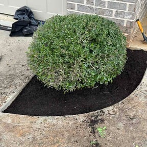 Mulching by Sumner Property Management reviewed on July 31, 2026