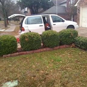 Bush Trimming by Curry's mowing reviewed on August 16, 2025