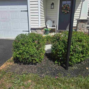Bush Trimming by Fredscape reviewed on June 20, 2026