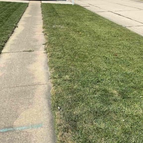 lawn care by Bishop Elite Services reviewed on September 17, 2024