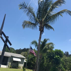 Bush Trimming by EV Great Valley Landscaping,LLC. reviewed on August 21, 2024