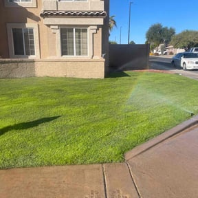 yard service by Dream Lawns reviewed on August 18, 2025
