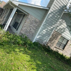 Bush Trimming by The guy property maintenance reviewed on August 20, 2025