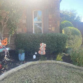 Bush Trimming by Fuse landscape reviewed on November 24, 2025