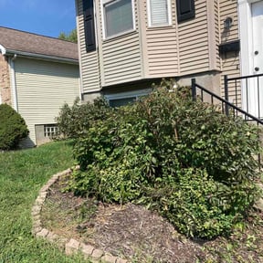 Bush Trimming by Isaiah's Custom Cutz reviewed on August 18, 2025
