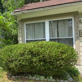 Bush Trimming by MPV Landscaping reviewed on August 21, 2025