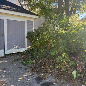 Bush Trimming by Kleen Kutz reviewed on October 20, 2025